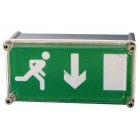ESW 8W High Frequency Weatherproof Wall Mounted Exit Sign with 230v Mains IP65